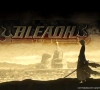 bleach_by_kalvink